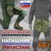 Напашник тактический "Трилистник". Класс защиты Бр 2. 